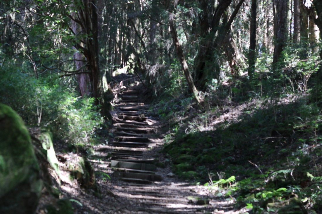 山林步道
